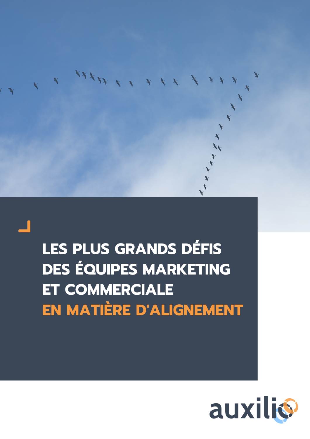 Les-plus-grands-defis-des-equipes-marketing-et-commerciale-en-matiere-d-alignement